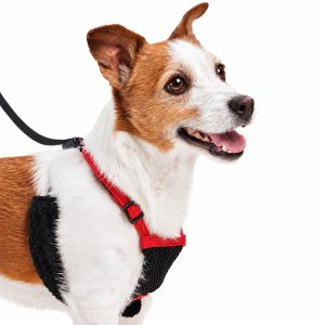 SPORN® No-Pull Mesh Harness™