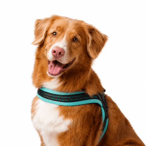 SPORN® Easy Fit Harness™