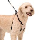 Sporn 2024 comfort harness