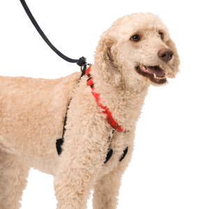 Original Sporn Halter<sup>™</sup>