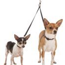 Sporn Double Dog Leash 2