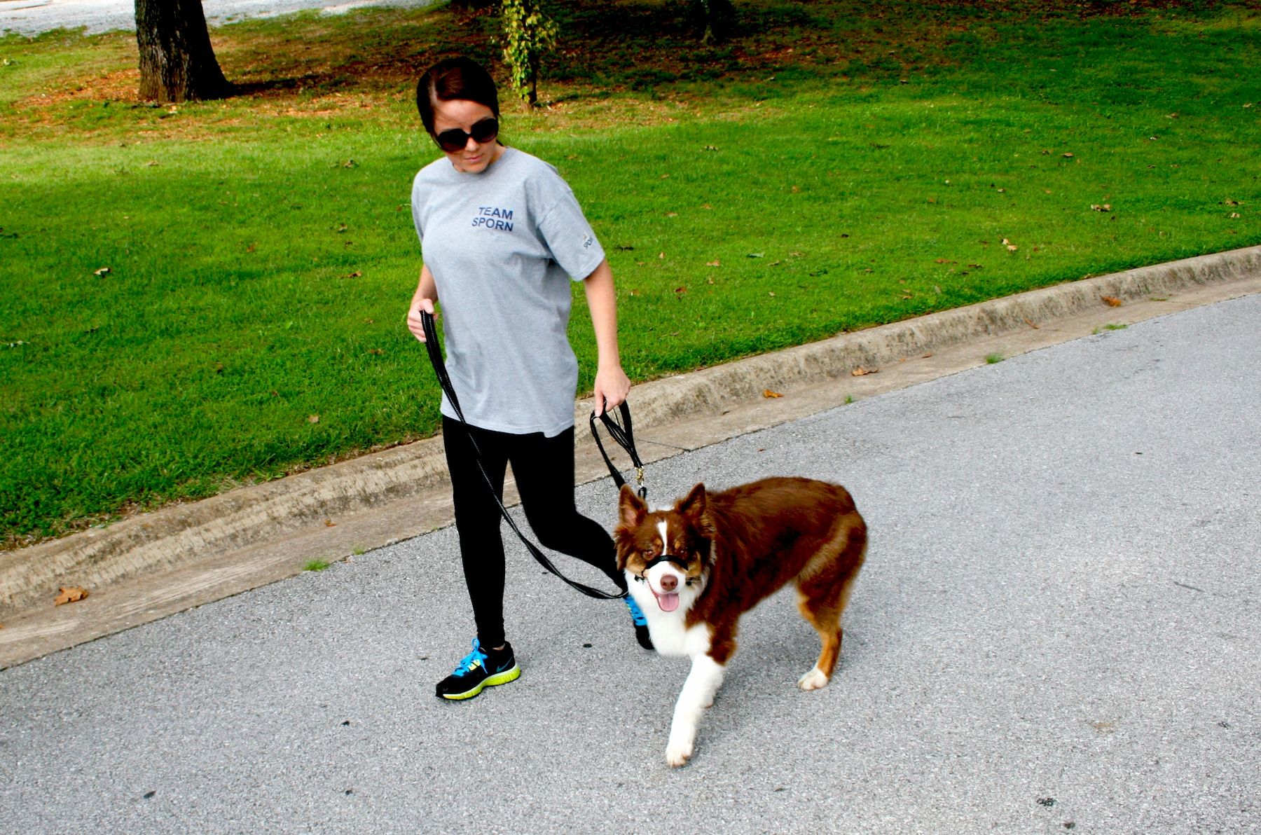 Sporn Head Halter Photo