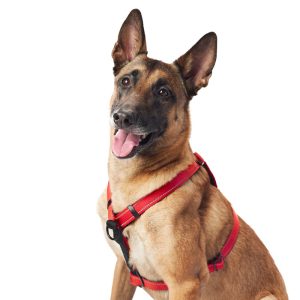 Sporn Ultimate Control<sup>™</sup> Harness