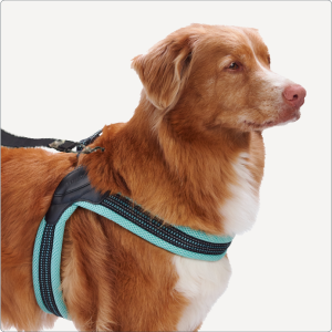 Sporn Easy Fit Harness<sup>™</sup>