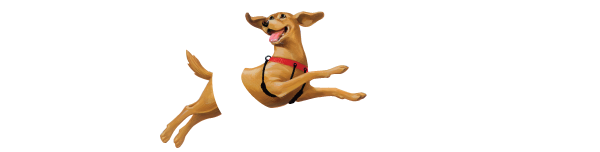 600px x 152px - Original Pet Products and Dog Supplies Online - Sporn Store