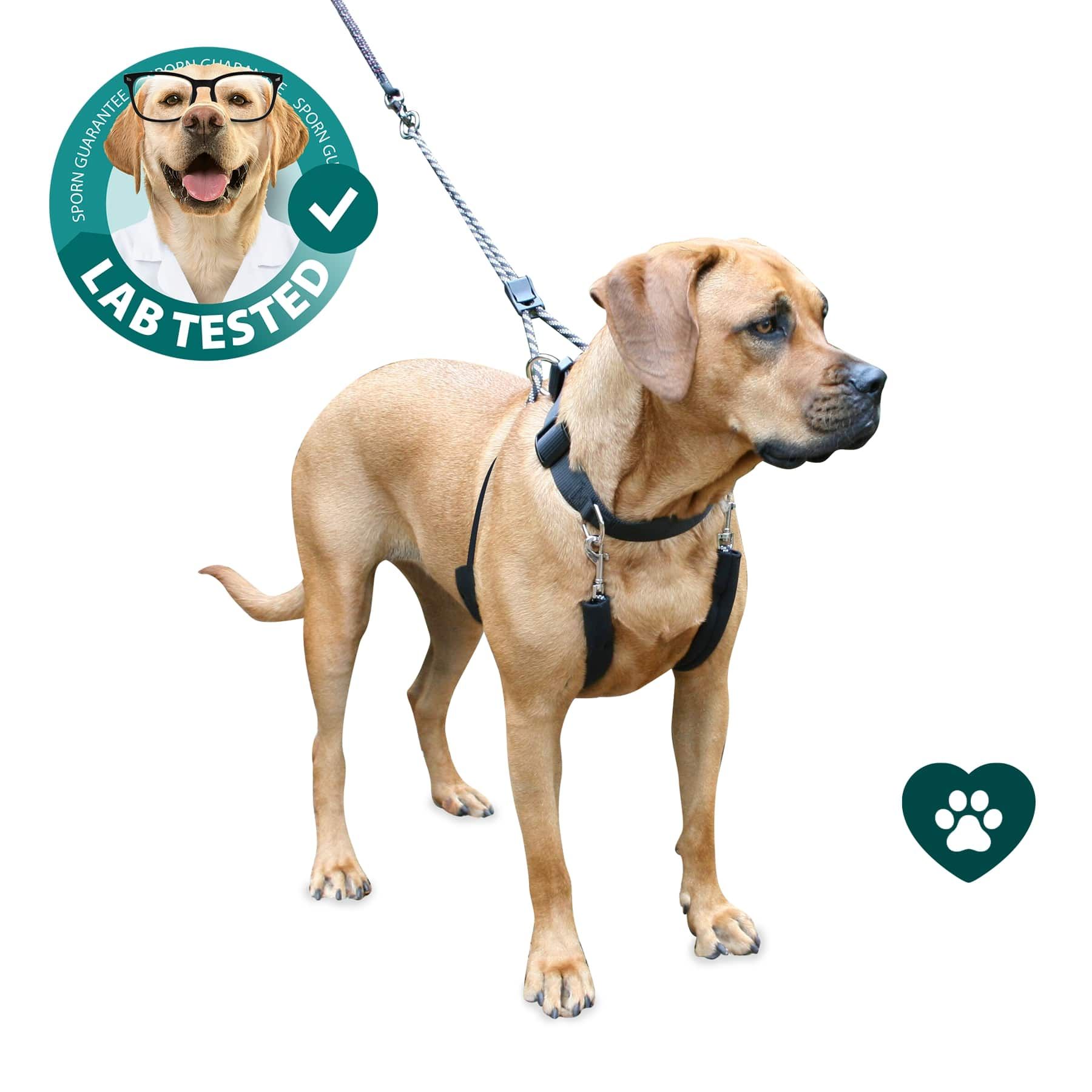 Sporn pet clearance harnesses