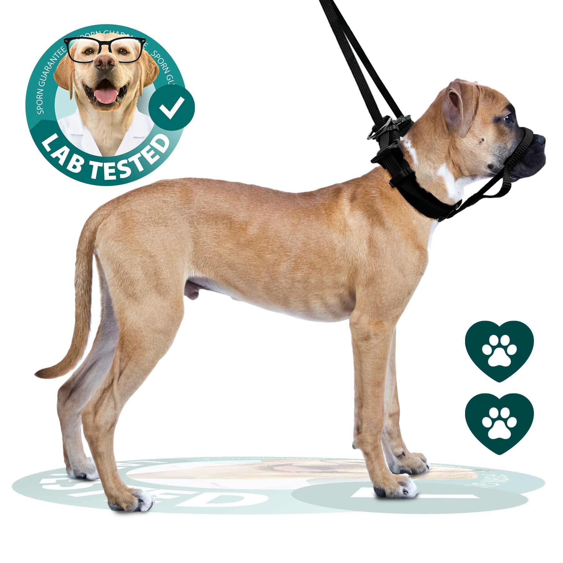 We Tested 12 No-Pull Dog Harnesses To See Which Ones Work
