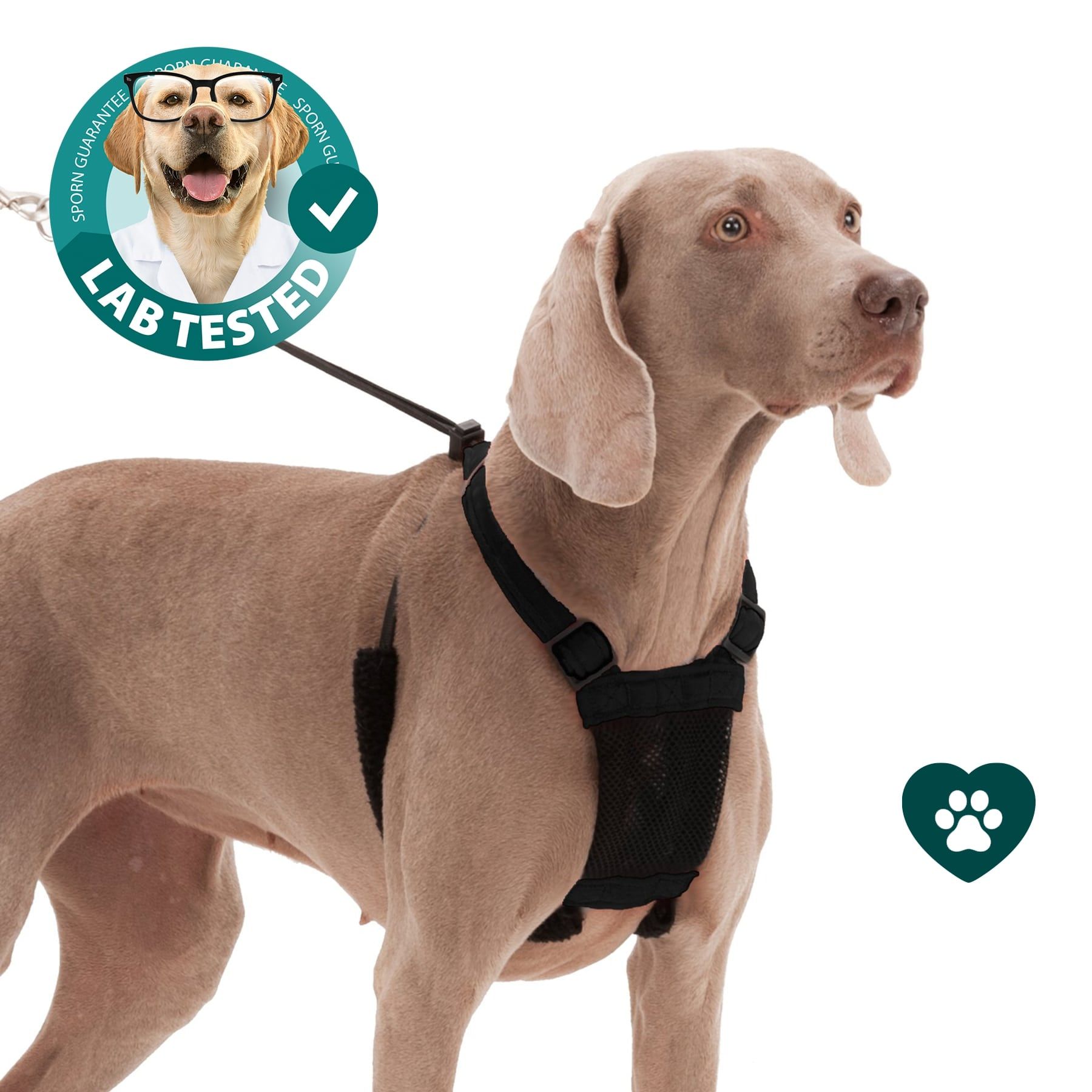 Sporn dog harness