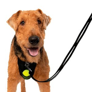SPORN® Heel-X Dog Leash™