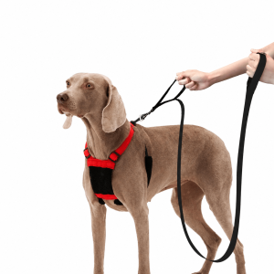 SPORN® Companion Training Leash™