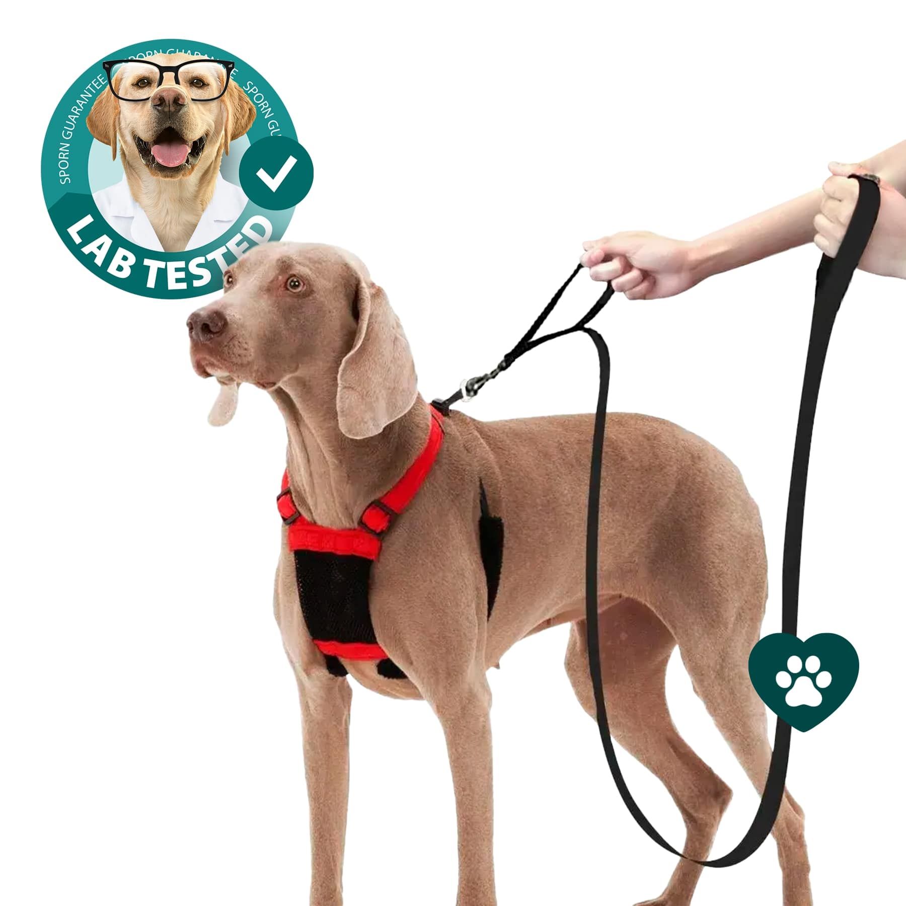Achieve Effective Training with the Sporn Training Leash™ Collar