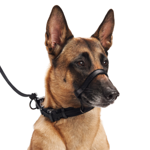 Sporn Head Halter<sup>™</sup>